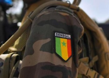 Sénégal : trois militaires tués dans une explosion lors d’une opération anti-chanvre