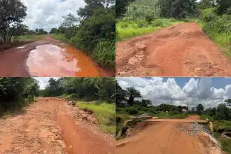 Dubréka : Dioumaya–Falessadé, 30 kilomètres de calvaire qui enclavent tout un grenier agricole